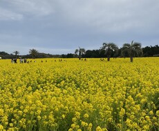 子育て相談のります イメージ1