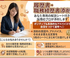 解説シート付き！履歴書・職務経歴を添削します イメージ1