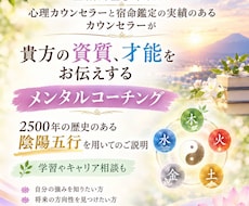 あなたの才能・資質を分析します イメージ1