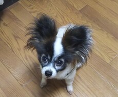 うつや精神症状について、相談をお受けします イメージ1