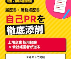 一般企業への転職の履歴書＆職務経歴書を添削します イメージ1