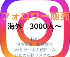 Instagram 海外フォロワーを増加させます イメージ1