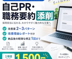 自己PR・職務要約を1項目添削します イメージ1