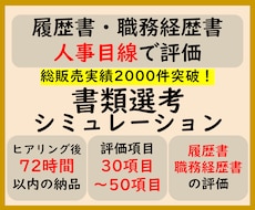 履歴書・職務経歴書を人事目線で評価します 人事目線で30〜50項目を評価／評価コメント付き