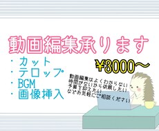 動画編集代行します イメージ1