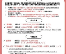 事業再構築補助金のヒアリングシートをお送りします 何を書いたら分からない人へ！診断士による採点項目をカバー