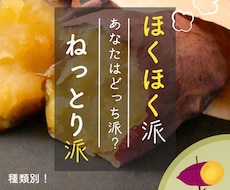 SNS用スライド / EC商品画像のデザインします イメージ1