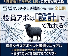 即日実践可能！役員アポ獲得実践マニュアル公開します イメージ1
