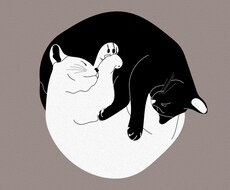 易で占います 古代の智慧、易が告げる運命の変化を読み解きます。