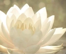 自分を知る初めの1歩を鑑定します あなたの魂の色をお伝えし、自分らしさが分かります