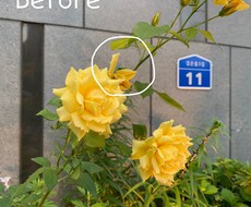 画像加工承ります イメージ1