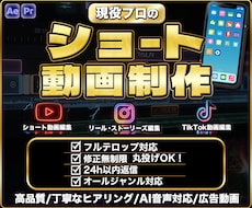 迅速丁寧！現役プロがショート・広告動画を制作します イメージ1