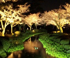 ★★旅行・おでかけランキング入り★★金沢へ旅行をお考えの方、旅行プランを計画させて頂きます♪