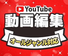 Youtube向け動画の編集致します 丁寧でこだわった編集を致します