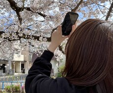 精神疾患について看護師が相談にのります イメージ1