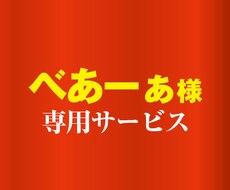 専用商品になります べあーぁ様専用サービスとなります。