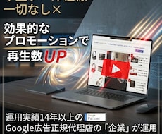 プロがYoutube動画の再生回数を増やします イメージ1