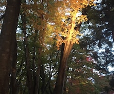 誰かと話したい時のお話し相手になります イメージ1