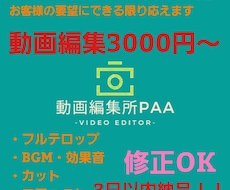 YouTube インスタ動画編集します イメージ1