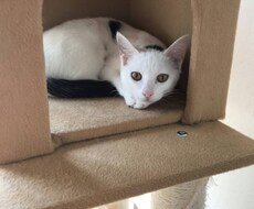 介護疲れ（人間、動物）の方。お話をお聴きします イメージ1