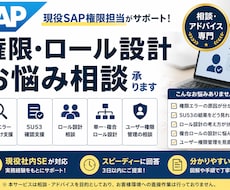 SAP権限・ロール設計のお悩み相談を承ります 保守経験から権限エラーやロール設計の悩みをサポートします