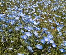 誰にも言えない病気の不安や辛さを受け止めます イメージ1