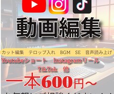 ショート動画1本あたり600円～動画作ります 新規参入の為格安で受注します！