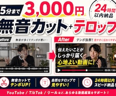 15分迄OK｜AIテロップ・無音カット代行します イメージ1