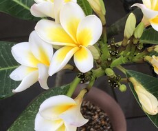 1日チャットで応援メッセージをおくります イメージ1