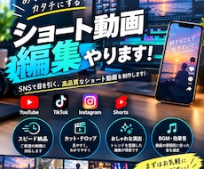 低単価で【配信切り抜き、ショート動画】を編集します イメージ1
