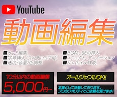 Youtube動画をプロのクオリティで編集します プロの動画編集クリエイターとして本業で活動しています。