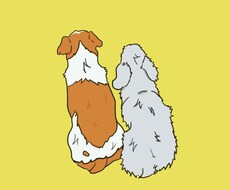 シンプルデザインでペットのイラスト描きます シンプルデザインでペットのイラスト書きます
