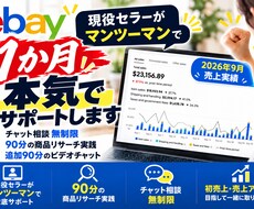 eBay超初心者向けに1か月本気でコンサルします イメージ1