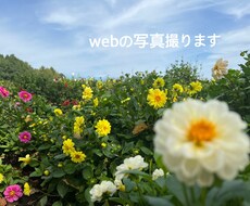 撮ります イメージ1