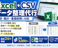 Excel・CSVのデータ整理や比較を代行します イメージ1