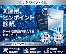 スポット！プロSNSコンサルがXの改善提案します イメージ1