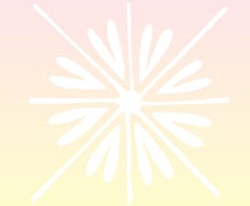 心とカラダを整えるお話相手になります イメージ1