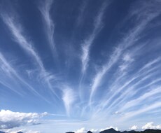 お電話でカウンセリングいたします イメージ1