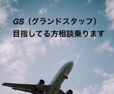 就活:グランドスタッフ志望の方の相談にのります イメージ1