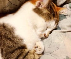 貴方の魅力をズバリお伝えします