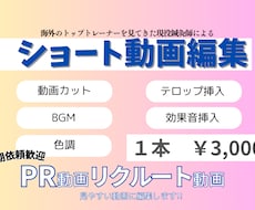 ショート動画編集をします イメージ1