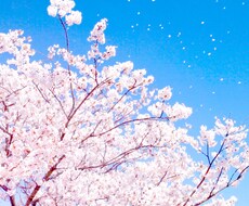 悩みを占います❁癒し❁タロット占いをします 悩んでいることを教えてください。一緒に解決しましょう❁