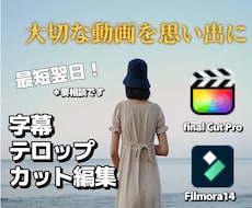 どんな動画でも可能！字幕・テロップ入れます あなたの大切な動画を思い出に！