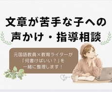 元国語教員が、感想文・作文のサポートをします 読書感想文・作文で悩む方へ。何を書けばいいか一緒に整理します