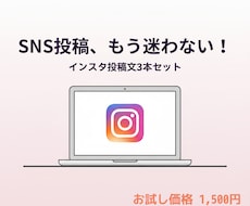 初心者歓迎！インスタ投稿文3本を作成します イメージ1