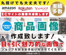 継続専用/フォーマットで商品画像作成致します 画像作成実績多数！丸投げ/詳細指示のどちらも可！