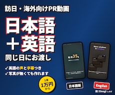 日本語＋英語の訪日・海外向けPR動画を作ります イメージ1