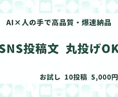 AIでSNS投稿文・文章作成を代行します イメージ1