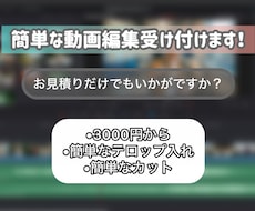 簡単な動画編集（カット、テロップ入れ）お受けします イメージ1