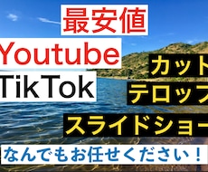 動画全般(YOUTUBE、TIKTOK)編集します イメージ1